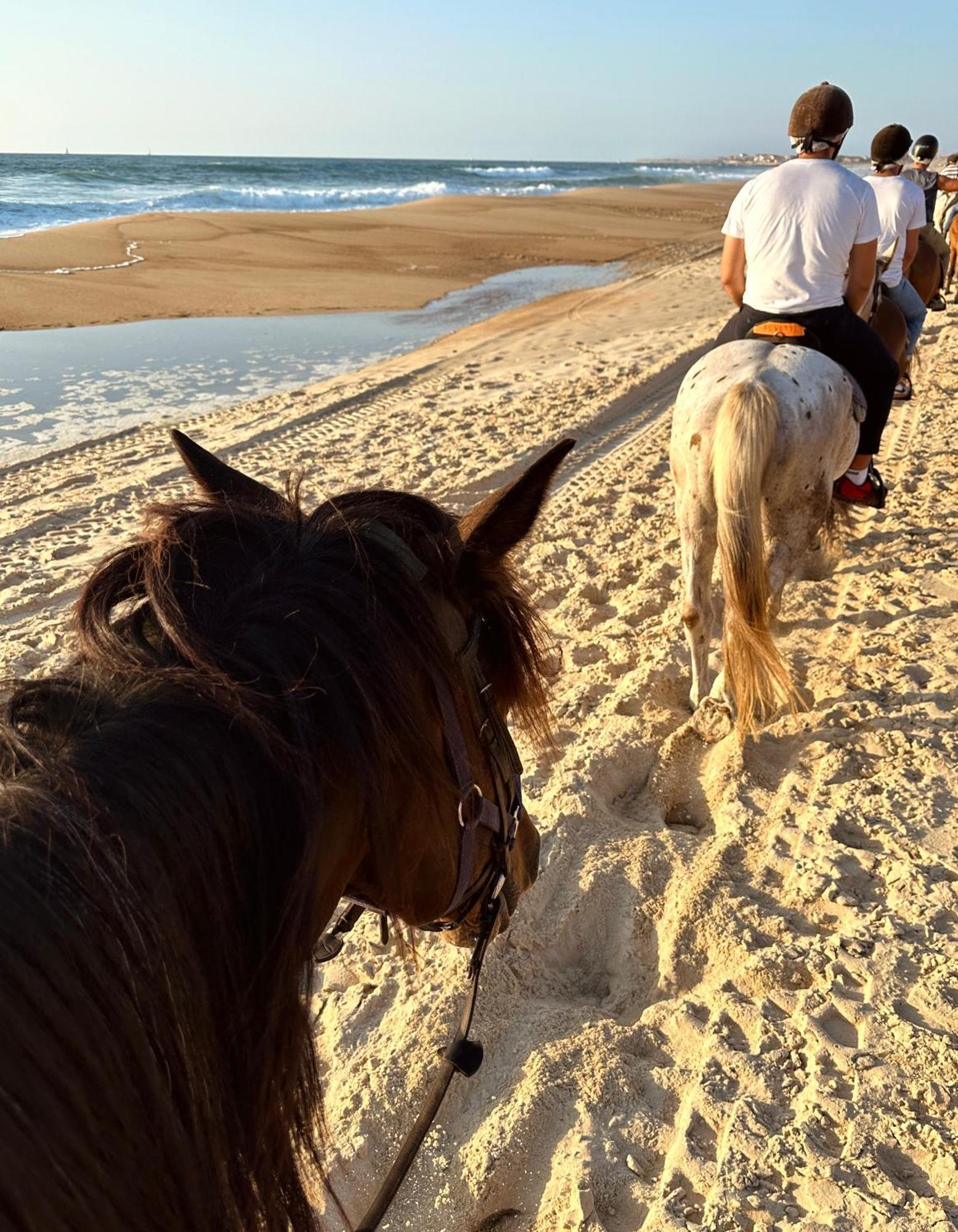 Hotel Aparra Surfcamp Capbreton Esterno foto